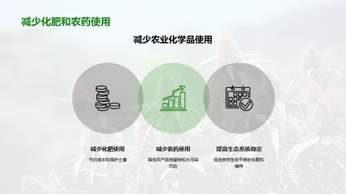麻类种植：绿色农业新模式