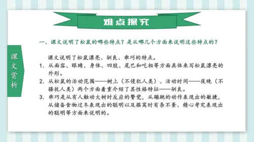 统编版五年级语文上册第17课《松鼠》教学课件