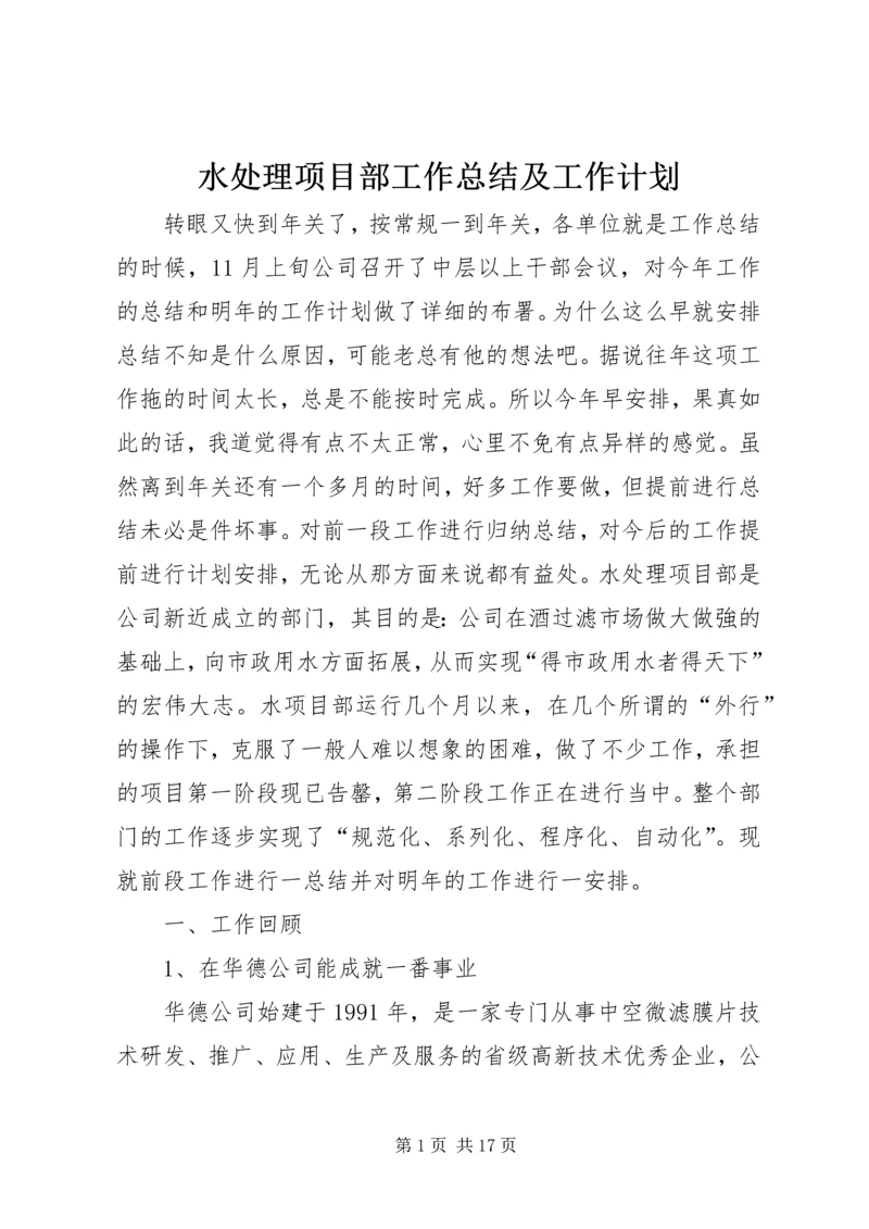 水处理项目部工作总结及工作计划 (2).docx