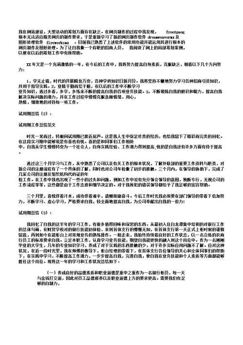 试用期总结计划10篇