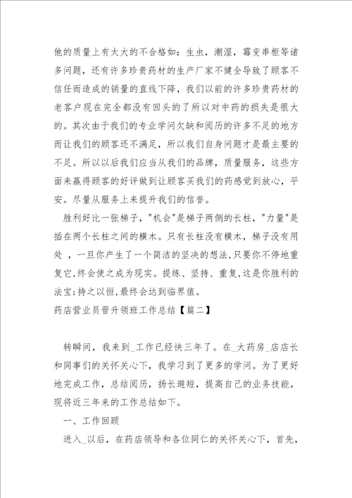 药店营业员晋升领班工作总结五篇