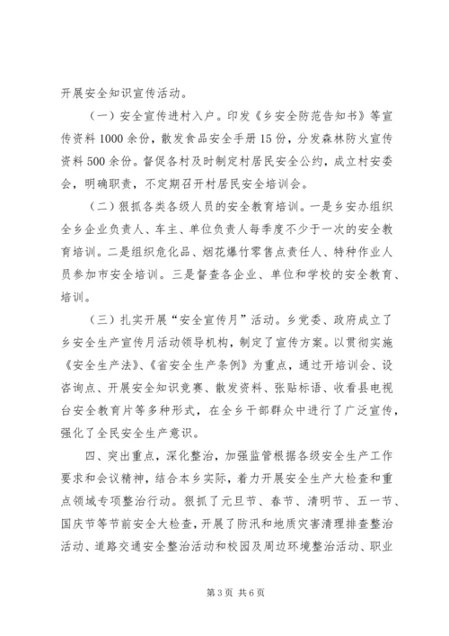 乡镇年度安全工作总结.docx