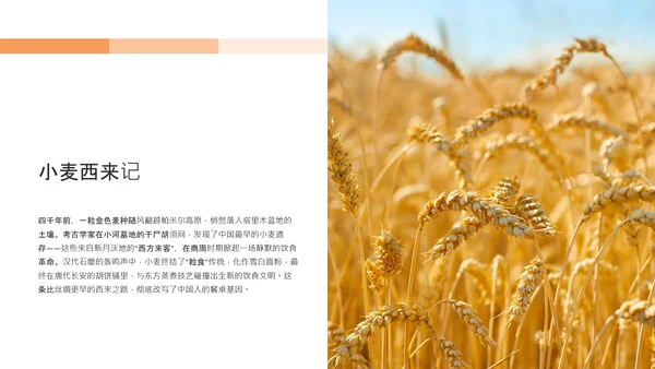 黑色橙色简约风中国面食介绍PPT模板