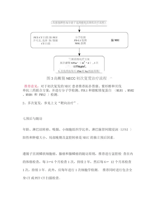 2022子宫颈神经内分泌癌诊断与治疗专家指导意见.docx