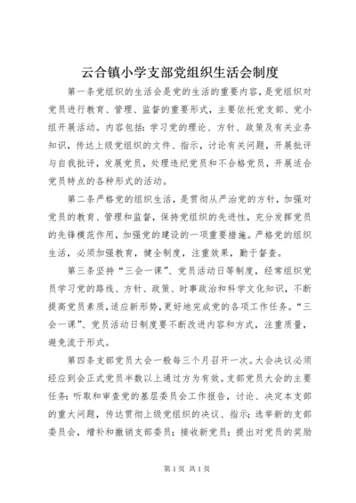 云合镇小学支部党组织生活会制度.docx