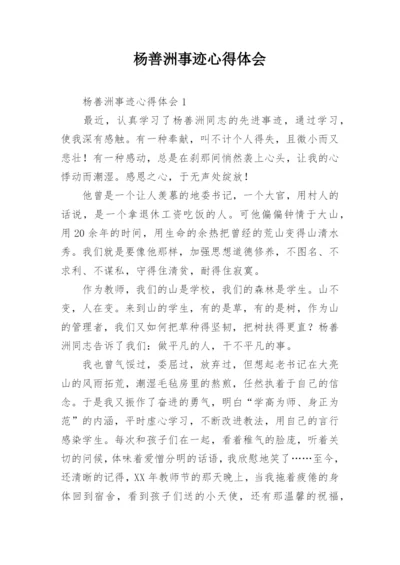 杨善洲事迹心得体会.docx