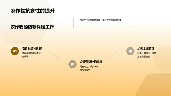 大雪节气农耕指南