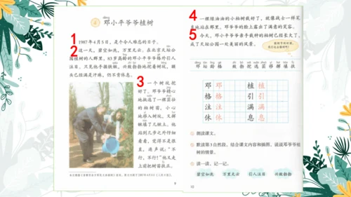4.邓小平爷爷植树（第一课时）  课件
