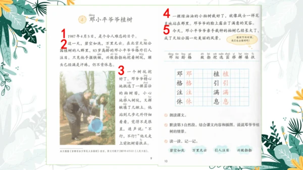 4.邓小平爷爷植树（第一课时）  课件