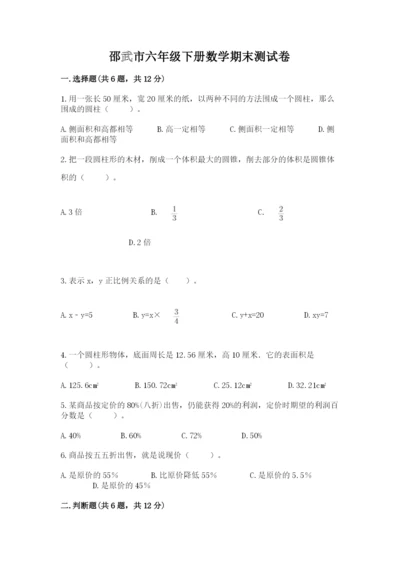 邵武市六年级下册数学期末测试卷汇编.docx