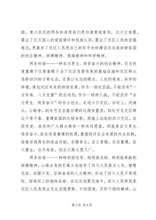 学习抗震救灾精神心得体会：两条标语凝聚一种精神.docx