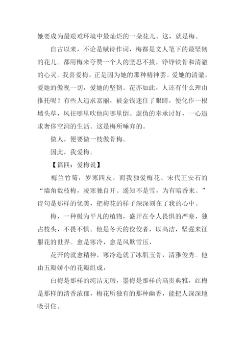 爱梅说作文600字.docx