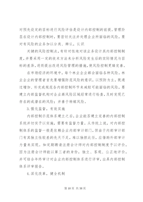 如何建设与完善我国企业内部控制制度.docx