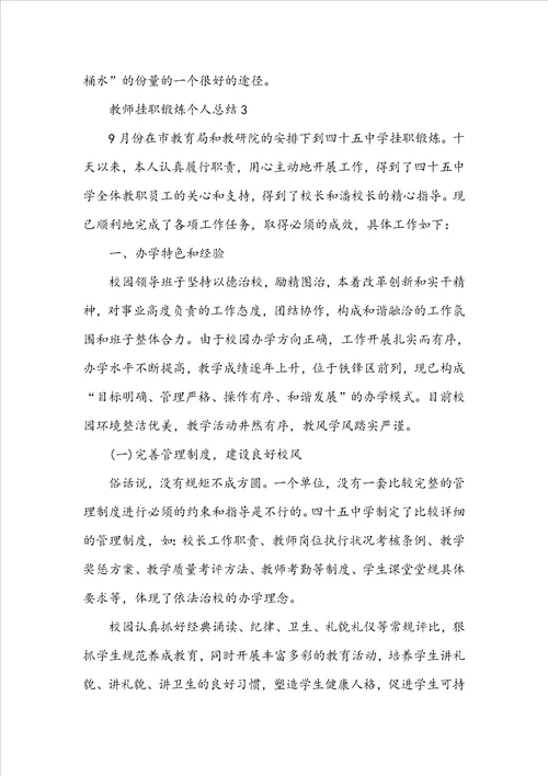 教师挂职锻炼个人总结5篇