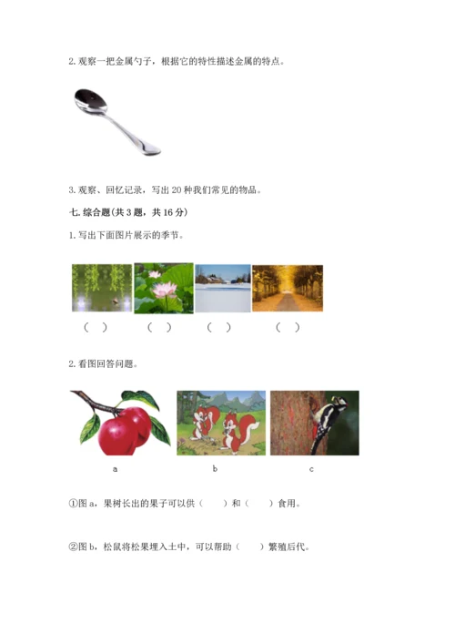 教科版科学二年级上册《期末测试卷》【考点梳理】.docx