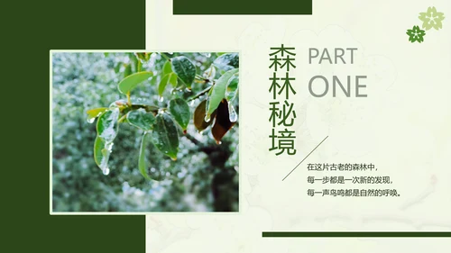 绿色简约风摄影师个人作品集PPT模板