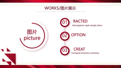 高端公司品牌产品介绍策划方案工作总结PPT