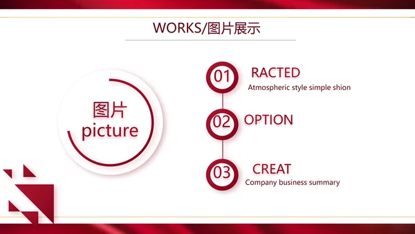 高端公司品牌产品介绍策划方案工作总结PPT