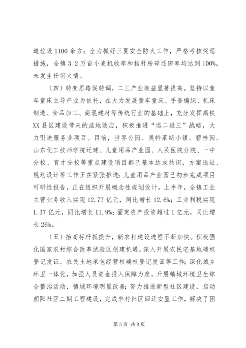 镇经济社会发展及人大“双联”活动开展情况汇报材料.docx