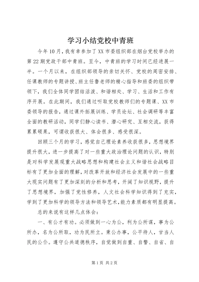 学习小结党校中青班 (5).docx