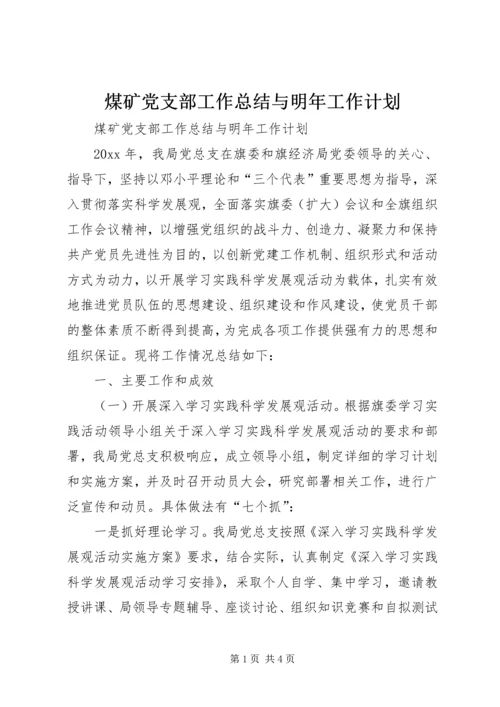 煤矿党支部工作总结与明年工作计划.docx