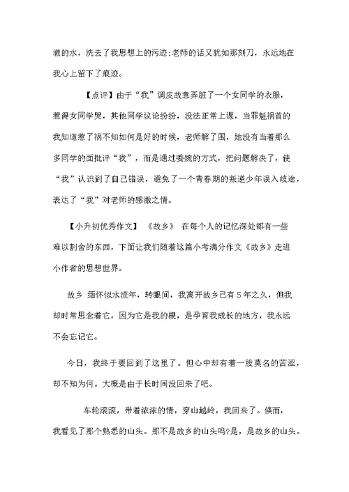 小升初满分作文精选10篇附点评小升初满分作文20篇