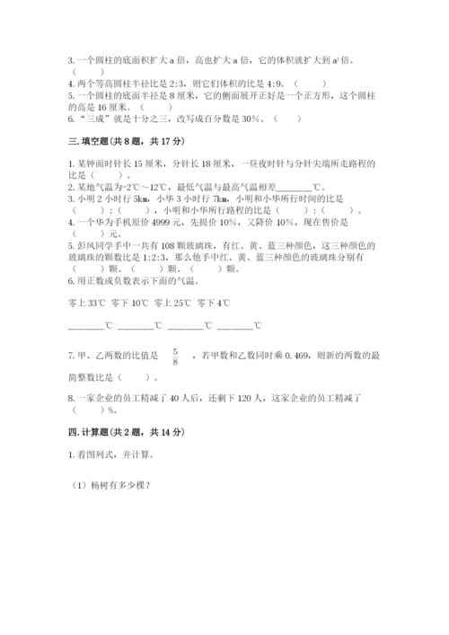 通道侗族自治县六年级下册数学期末测试卷必考题.docx