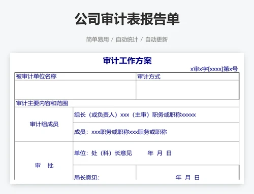 公司审计表报告单