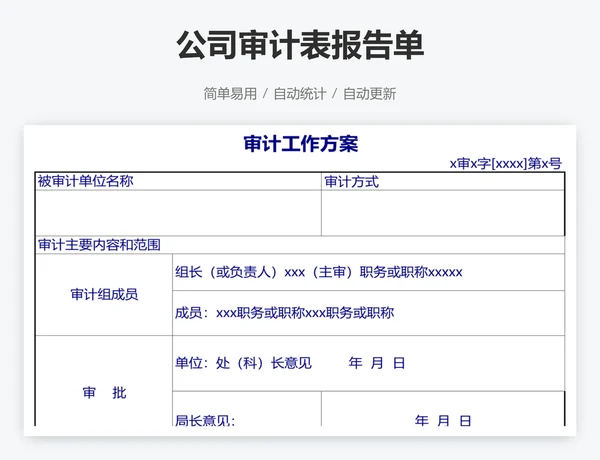 公司审计表报告单