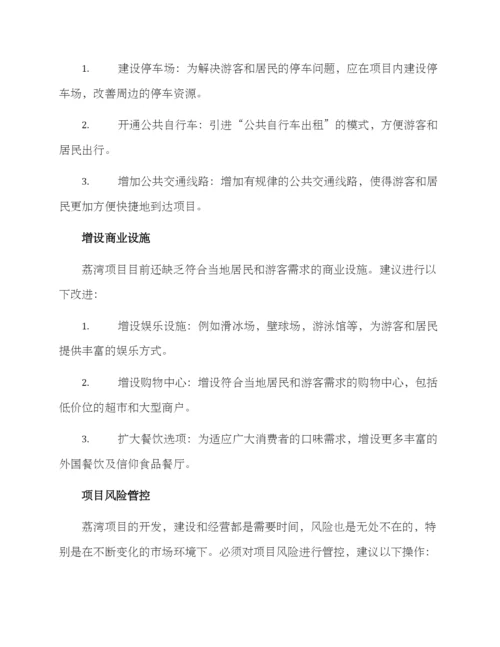 荔湾项目拓展方案.docx