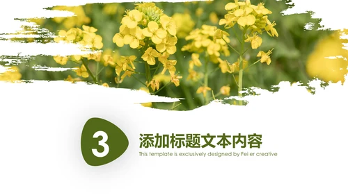 春天乡村旅游油菜花风景油菜花田PPT模板