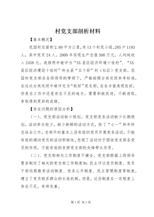 村党支部剖析材料.docx