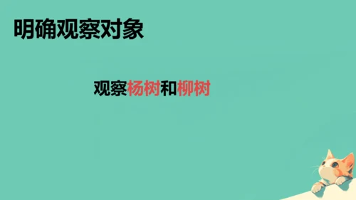 人教版（2024）七年级上册1.1.1 观察周边环境中的生物 课件(共20张PPT)