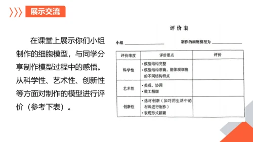 综合实践项目单元小结-【备课优选】七年级生物上学期同步精品课件（2024人教版）(共19张PPT)