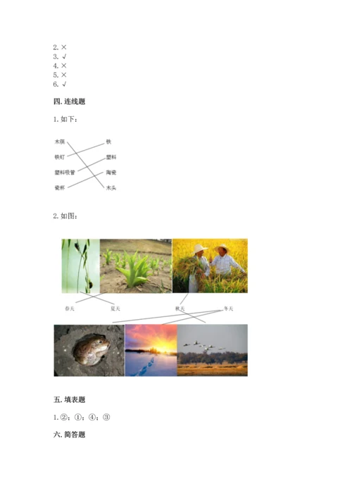 教科版科学二年级上册《期末测试卷》带答案（模拟题）.docx