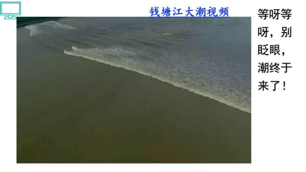 1 观潮 第一二课时    课件