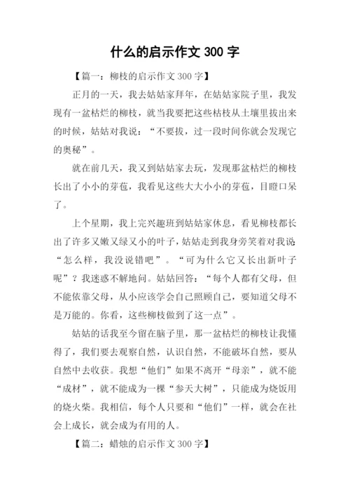 什么的启示作文300字.docx