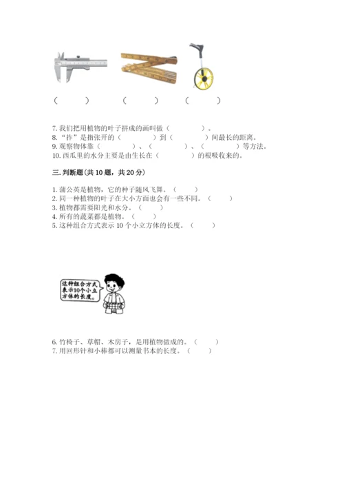 教科版一年级上册科学期末测试卷及参考答案（培优a卷）.docx