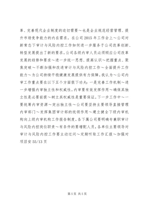 内审分管领导讲话 (3).docx