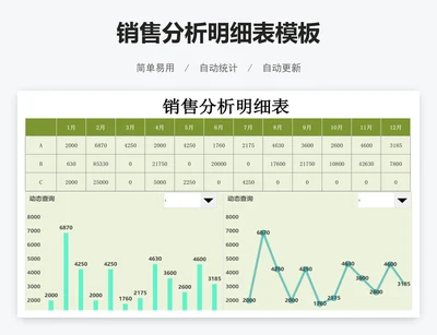 销售分析明细表模板