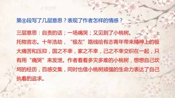 第19课 一棵小桃树 课件(共24张PPT)