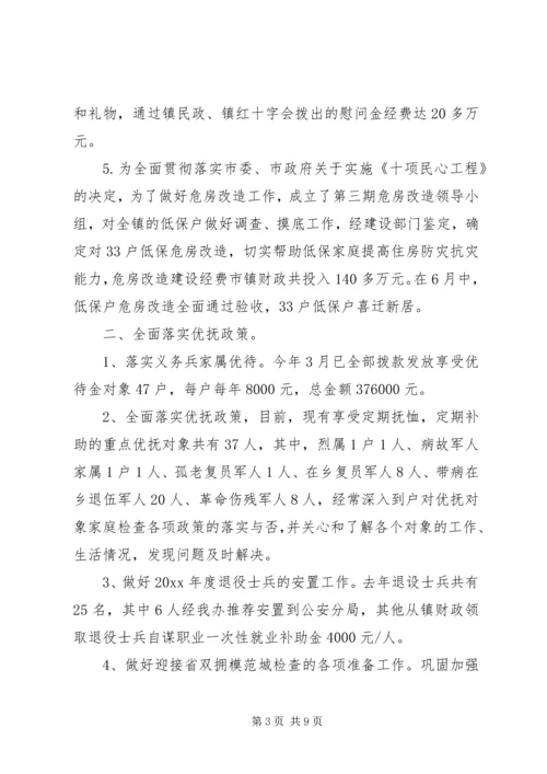 乡镇社会事务办工作总结.docx