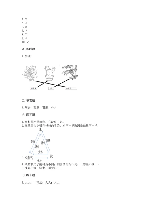 教科版科学一年级上册期末测试卷（夺冠）word版.docx