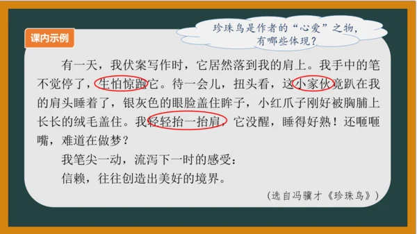 统编版语文五年级上册 第一单元习作： 我的心爱之物课件