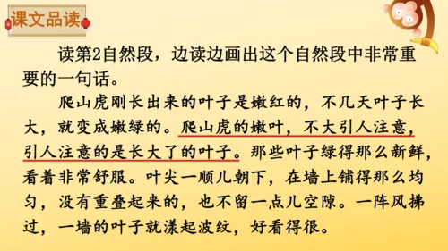 10 爬山虎的脚   课件