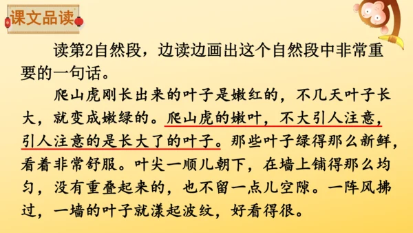 10 爬山虎的脚   课件