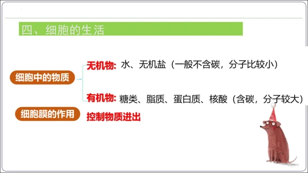 【2023秋人教七上生物期中复习考点梳理串讲+临考押题】第一章 细胞是生命活动的基本单位（串讲课件）