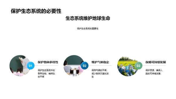 探索生态系统