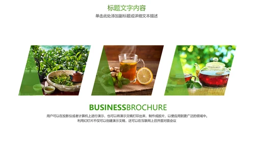 绿色唯美茶文化品茶论道PPT模板
