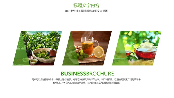 绿色唯美茶文化品茶论道PPT模板